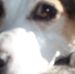 Profile Picture of Ruby Gibbs (@ruby.gibbs.520) on Facebook