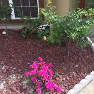 Profile Picture of Wilma Wiggins (@wilma.wiggins.100) on Facebook