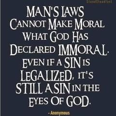 Profile Picture of Adam McCormick (@adammccormick04) on Tiktok