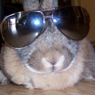 Profile Picture of Christopher Waterloo (@cwaterloo) on Facebook