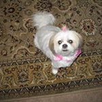 Profile Picture of David Loyer (@daveasst1) on Instagram