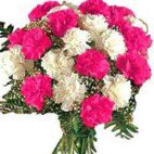 Profile Picture of Ayla Sarı (@ayla_sariii) on Instagram