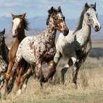 Profile Picture of Karla Østby (@Karla-Østby) on Facebook