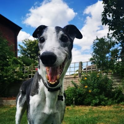 Profile Picture of Robert Lumley (@Lumerz87) on Twitter