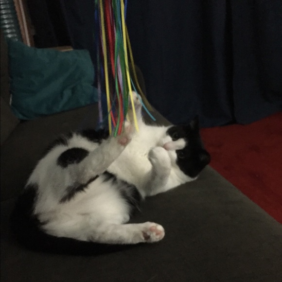 Profile Picture of Lydia Fewkes (@lydiagirl153) on Poshmark