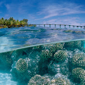 Profile Picture of Mark Seals (@markseals8889) on Youtube