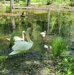 Profile Picture of James Laramee (@james.laramee.14) on Facebook