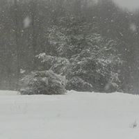 Misty Kennedy Reynolds - Quora Profile Picture of Misty Kennedy Reynolds (@misty-kennedy-reynolds) on Quora