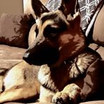 Profile Picture of Bobby McCloud (@igy6.roosta) on Instagram