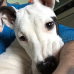 Profile Picture of Brandon-lee (@john_hancock12345) on Instagram