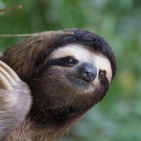 Profile Picture of Micah Neely (@micah-neely-6) on Quora