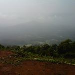 Profile Picture of sandi (@sandi.arnold4545) on Instagram