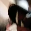 Profile Picture of Super power (@byronchene) on Tiktok