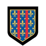 Profile Picture of Gendarmerie mobile - GGM II/1 (@gendarmerie_mobile_ggm_ii_1) on Instagram