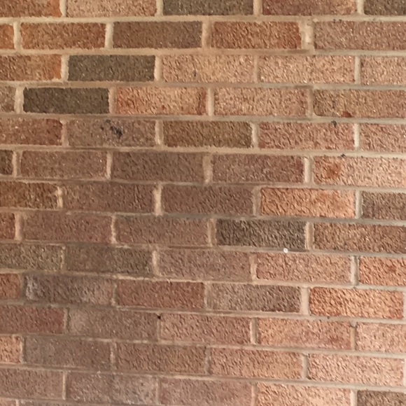 Profile Picture of Haley Bartlett (@halen99406) on Poshmark