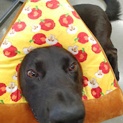 Profile Picture of Aaron Cain (@aaroncain5460) on Youtube