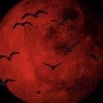 🦋 - Instagram Profile Picture of 🦋 (@jake_duran) on Instagram