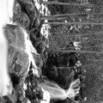 Profile Picture of Donahue (@noellynpla) on Instagram