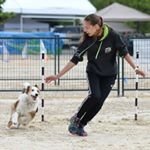 Profile Picture of Lisa Petterson CPCFT (@lpcaninefitness) on Instagram