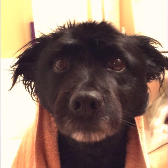 Profile Picture of Chelsey Hainen (@chainen) on Poshmark