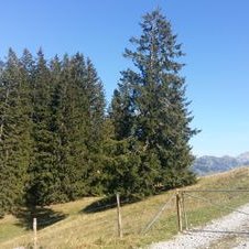 Profile Picture of Eva Schmid (@EvaSchmid4) on Twitter