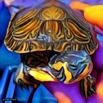 Profile Picture of Abraham Korn (@abrahamkorn) on Instagram