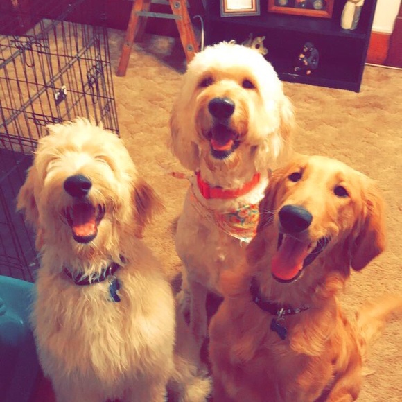 Profile Picture of Paige Benjamin (@paige_benjamin) on Poshmark