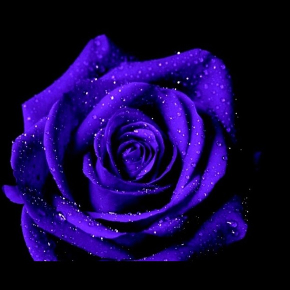 Profile Picture of Shon Mitchell (@shondralynm) on Poshmark