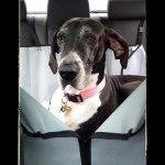 Profile Picture of Kenneth Hertz (@zacharyufuav46) on Instagram