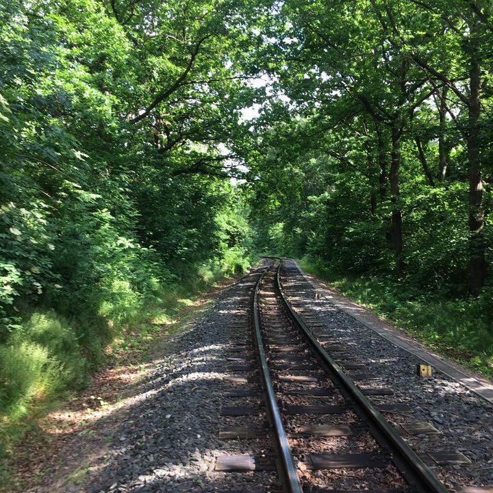 Profile Picture of burghardt (@@burghardt123) on Tiktok