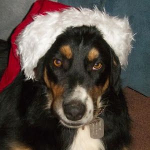 Profile Picture of phylliseaster (@phylliseaster) on Tiktok