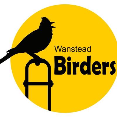 Profile Picture of Wanstead Birding (@WansteadBirding) on Twitter