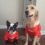 Profile Picture of little_guy_and_jules (@little_guy_and_jules) on Instagram