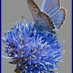 Profile Picture of Trudy Postma (@postmatrudy) on Instagram