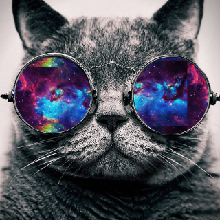 Profile Picture of Elisha M (@VioletKnight2) on Twitter