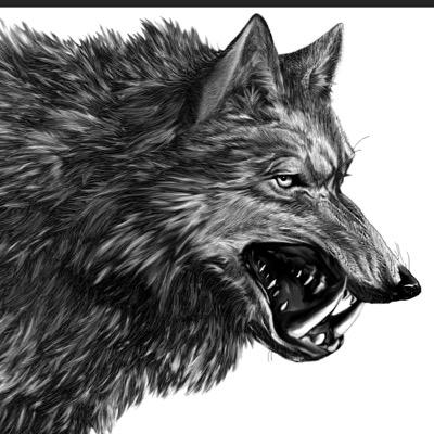 MidnightDireWolf - Twitter Profile Picture of MidnightDireWolf (@Nelson13Chuck) on Twitter