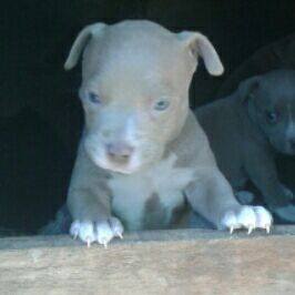 Profile Picture of David Trinca (@david.trinca.10) on Facebook