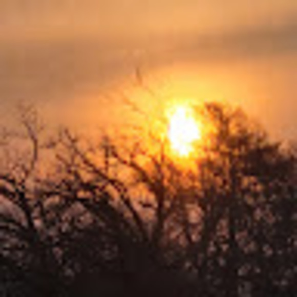 Profile Picture of Sly& Sly (@slyandsly4ever) on Poshmark