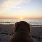 Profile Picture of Mark Sansone (@goonsquad1701) on Instagram