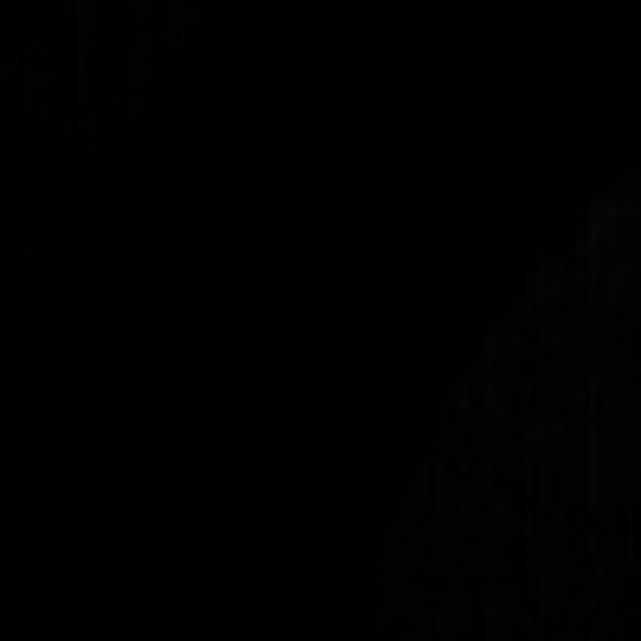 Profile Picture of Bera Bera (@berabera) on Poshmark