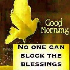 Profile Picture of Antoinette Long (@Antoine17963439) on Twitter