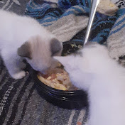 Profile Picture of Blake Reagan (@blakereagan7835) on Youtube