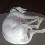 Profile Picture of Bonnie Tuttle (@bonnie.tuttle.98) on Instagram