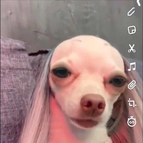 Profile Picture of Lucy Constas (@lucyconstas) on Poshmark