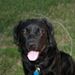 Profile Picture of Chris Cregan (@cregan12135) on Pinterest