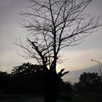 Profile Picture of ariel chan (@arielchan_syakiy) on Instagram