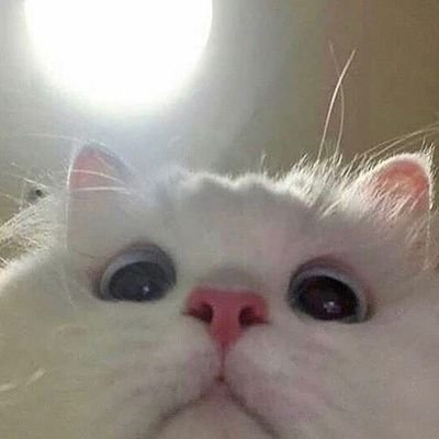Profile Picture of Amandaa (@Nath1Amanda) on Twitter