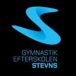 Profile Picture of Gymnastikefterskolen Stevns (@gymnastikstevns) on Instagram