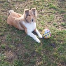 Klára Hojná - Twitter Profile Picture of Klára Hojná (@KlaraHojna) on Twitter