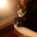 Profile Picture of Carol Fueglein (@carolfueglein) on Instagram